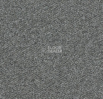 Ковровая плитка Forbo Tessera Chroma 3604 Elephant фото 1 | FLOORDEALER